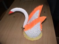 DSC02974.JPG