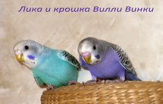 IMG_9899ппд.jpg