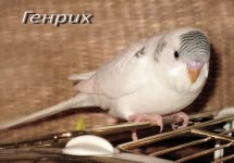 IMG_9884кко.jpg