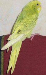 IMG_0090.jpg