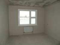 11 Большая комната_вид окна_трёшка_2011.01.28.jpg