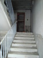 DSC05733.JPG