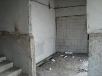 DSC05781.JPG
