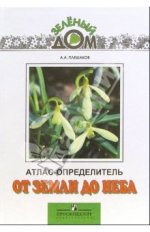 от земли до неба.jpg