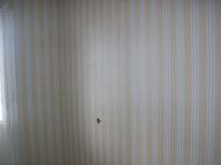 двушка зал.JPG