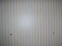 трешка зал.JPG