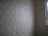 трешка кухня.JPG