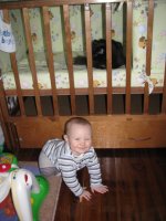IMG_4221resize.jpg