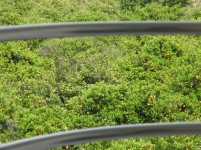 Изображение 039.jpg