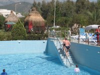 Изображение 121.jpg