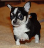 DSC_4861.jpg