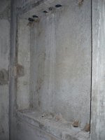 P1050031.jpg