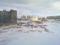 20110213_011.jpg