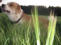 IMG_0152+.JPG