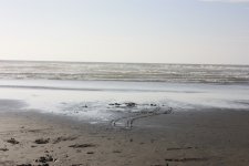 IMG_0303a.jpg