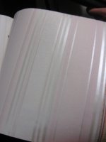 3) Koridor_1_Aziotaz_rascvetka_3.jpg