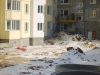 S8000182_новый размер.JPG