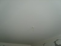 S8000075_новый размер.JPG