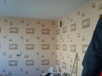 S8000085_новый размер.JPG