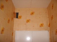 S8000097_новый размер.JPG