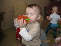 Изображение 330.jpg