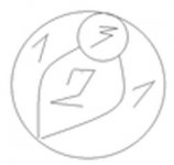 торт пчелка.jpg