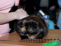IMG_3594.jpg