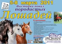 horse2011-2.jpg