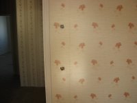 IMG_3940.JPG