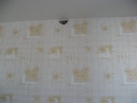IMG_3946.JPG