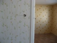 IMG_3960.JPG