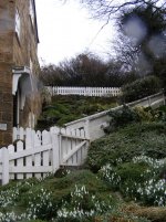DSCF6779.JPG
