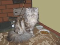 IMG_0035.jpg