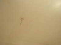 PICT0077.JPG