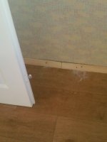 Фото-0070_новый размер.jpg