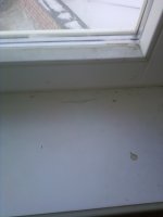 Фото-0071_новый размер.jpg