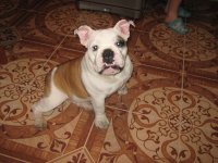 IMG_0717.JPG
