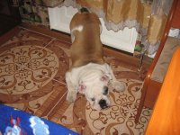 IMG_0721.JPG