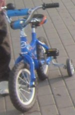 IMG_0973.jpg