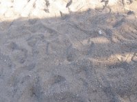 Турция 2008 (Кемер) 037_resize.jpg