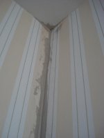 DSC09227.JPG