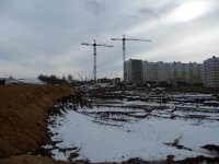 P1040485.jpg