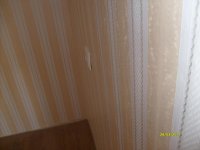 S6302689.JPG