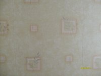 S6302692.JPG