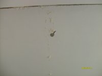 S6302696.JPG