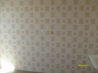 S6302719.JPG