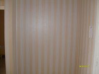 S6302728.JPG