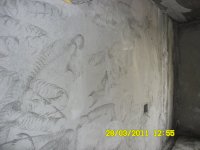SAM_0149.JPG