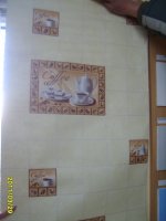 S8004328.JPG