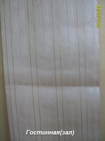 S8004332.JPG